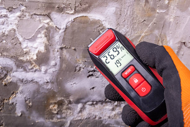 Best Mold Removal Process  in Rodney Village, DE