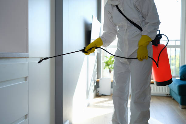 Best Residential Mold Removal  in Rodney Village, DE