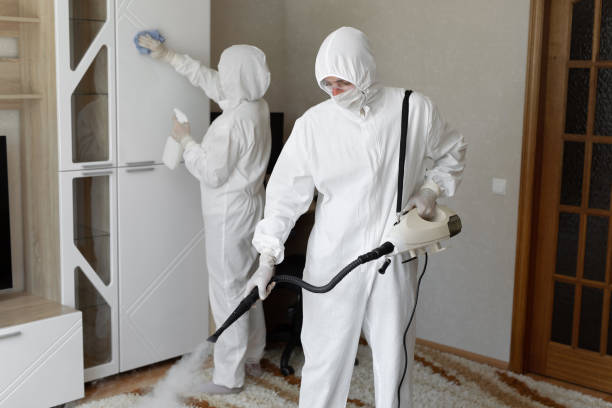 Best Toxic Mold Removal  in Rodney Village, DE