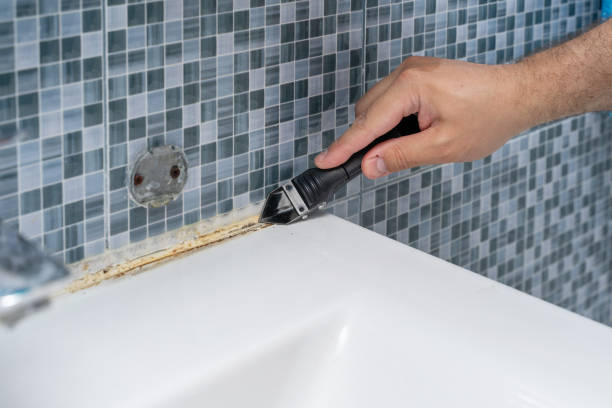 Best Mold Removal Near Me  in Rodney Village, DE